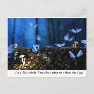 Love is like a butterfly postcard
