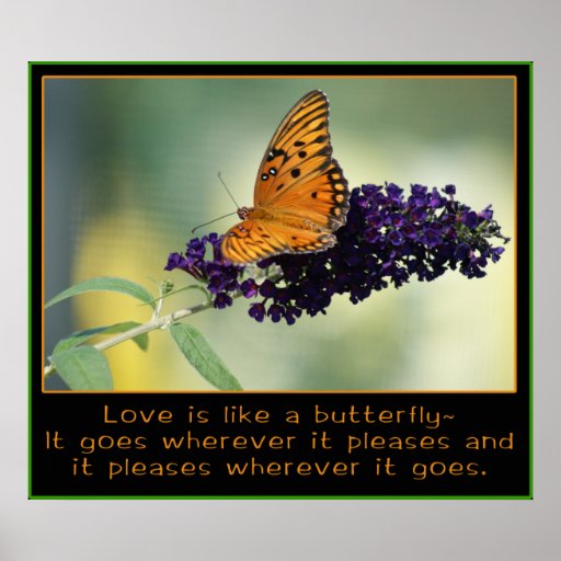 LOVE IS LIKE A BUTTERFLY POSTER | Zazzle