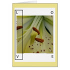 LOVE IS LILY -CHRISTIAN GREETING