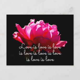 Love is love Dramatic Romantic Pink Rose Postcard