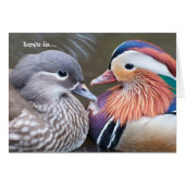 Love is... Mandarins (Front Horizontal)