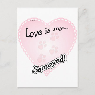 Love is My Samoyed Postcard