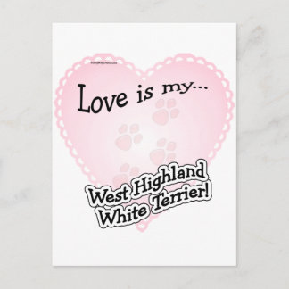 Love is my West Highland White Terrier Postcard