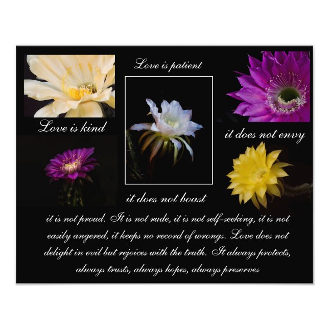 Love is Patient, Love is kind Cactus flower style Photo Print (Front)