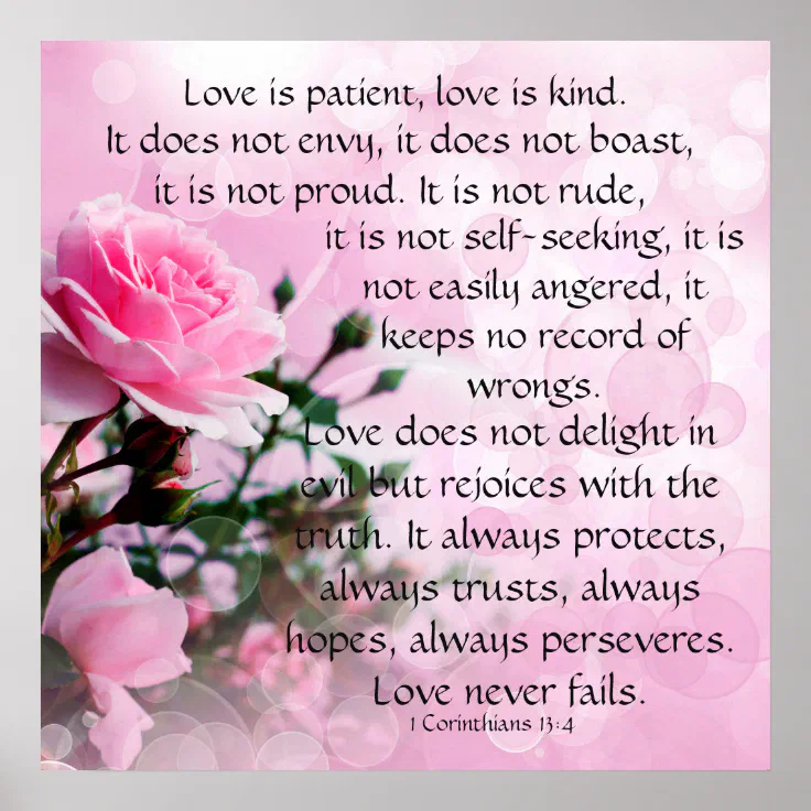 Love is patient poster Zazzle