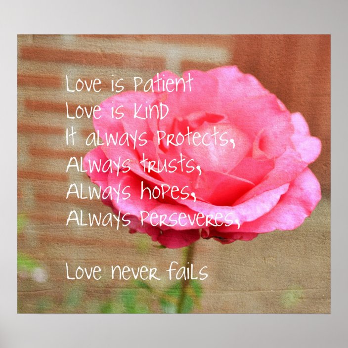 Love is Patient Rose Poster | Zazzle.com