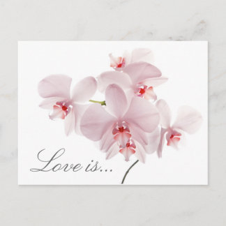 Love is... postcard