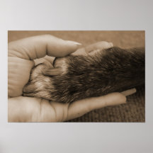 Love is unconditional