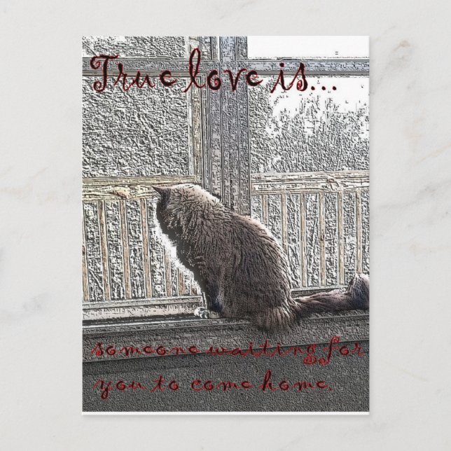 love is waiting postcard (Front)