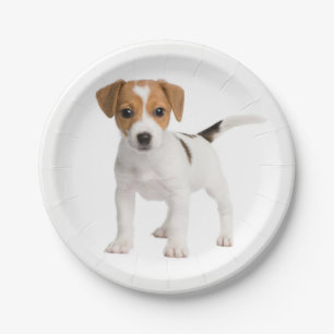 Love Jack Russel Terrier Puppy Dog Paper Plates