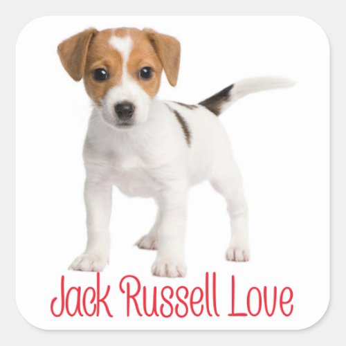 Love Jack Russell Terrier Puppy Dog Square Sticker