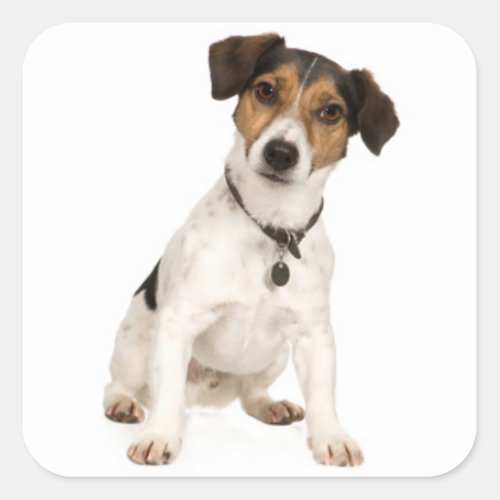 Love Jack Russell Terrier Puppy Dog Sticker  Seal