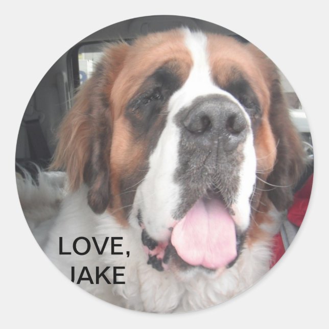 LOVE, JAKE STICKER (Front)