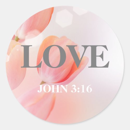 LOVE John 316 Verse with Elegant Pink Flowers Classic Round Sticker