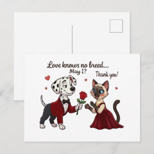 Love Knows No Breed Dalmatian and Siamese Cat Postcard