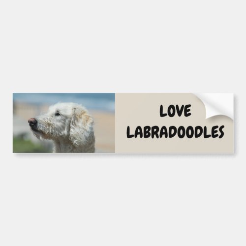 Love Labradoodles Bumper Sticker