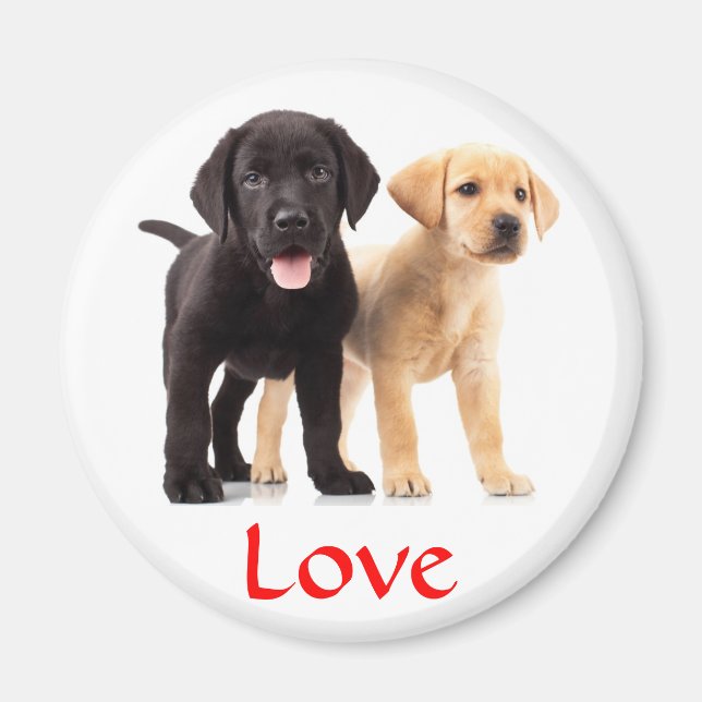 Love Labrador Retriever Puppies Fridge Magnet (Front)