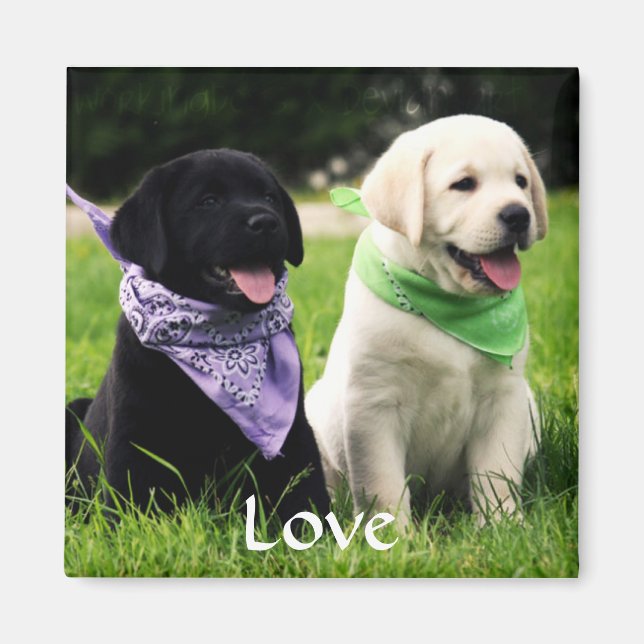 Love Labrador Retriever Puppies Fridge Magnet (Front)