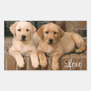 Love Labrador Retriever Puppies Sticker