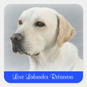 Love Labrador Retriever Puppy Dog Stickers