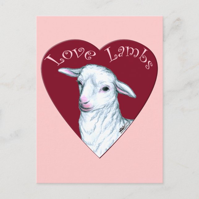 Love Lambs Postcard (Front)