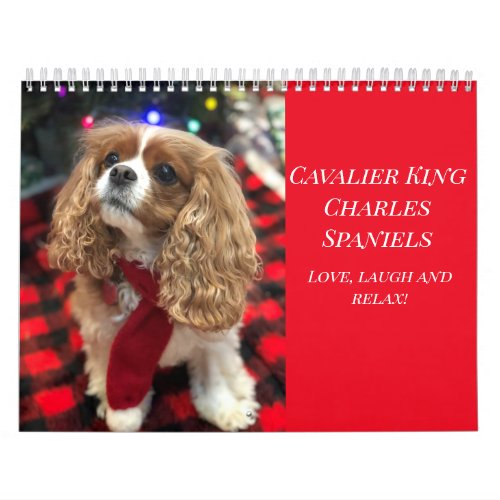 Love Laugh  Relax Cavalier King Charles Spaniels Calendar
