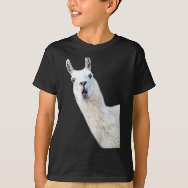 Love Llama Women Shirt Llama Lovers For Kids And G (Front)