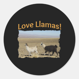 Love Llamas - Best Friends Classic Round Sticker