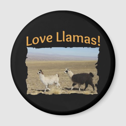 Love Llamas - Best Friends Magnet