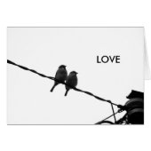 Love/Looking in the Same Direction (Front Horizontal)