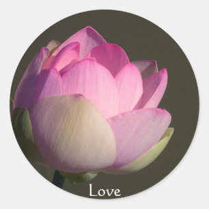 Love Lotus Classic Round Sticker