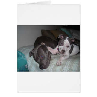 love, love, love cards