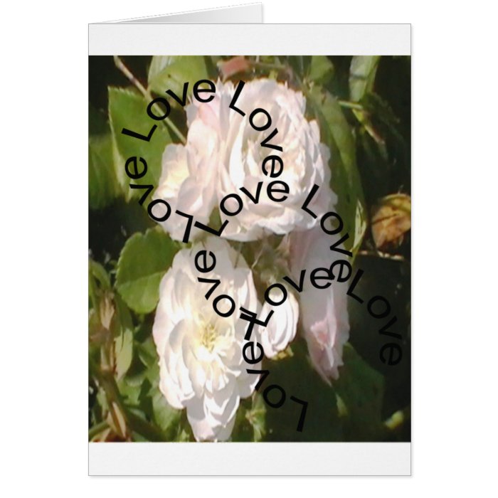 Love Love Love White Rose GreetingsCard