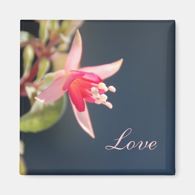 Love Magnet (Front)