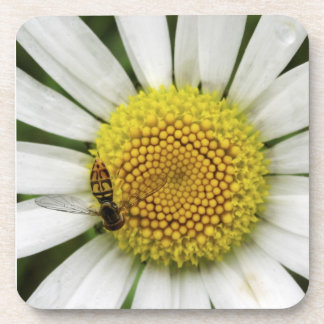 Love Me, Love Me Not Cork Coaster