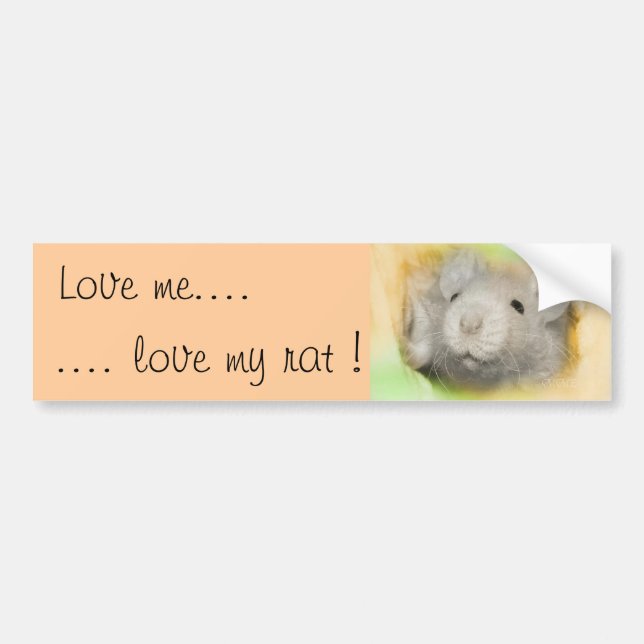 Love me..love my rat bumper sticker (Front)