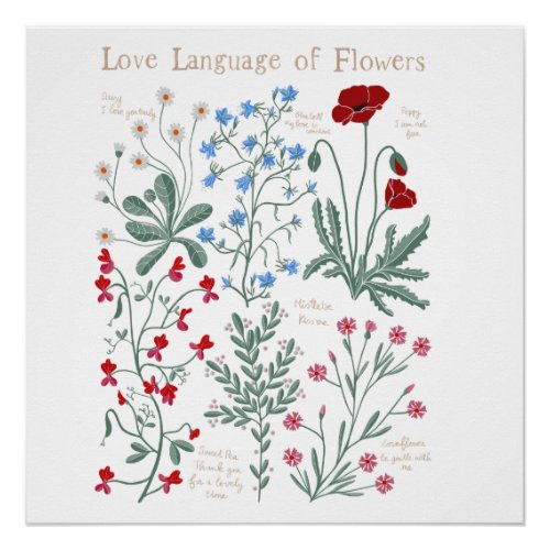 Love message of flowers herbarium botanical white  poster
