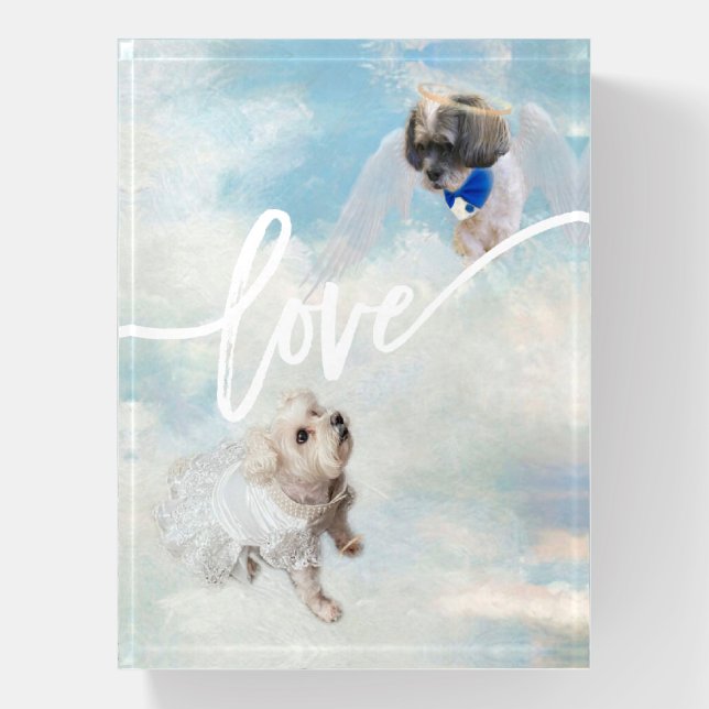Love | Modern Script Typography Your Photo Paperweight (Vertical)