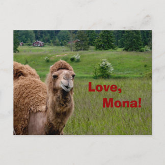 Love, Mona postcard