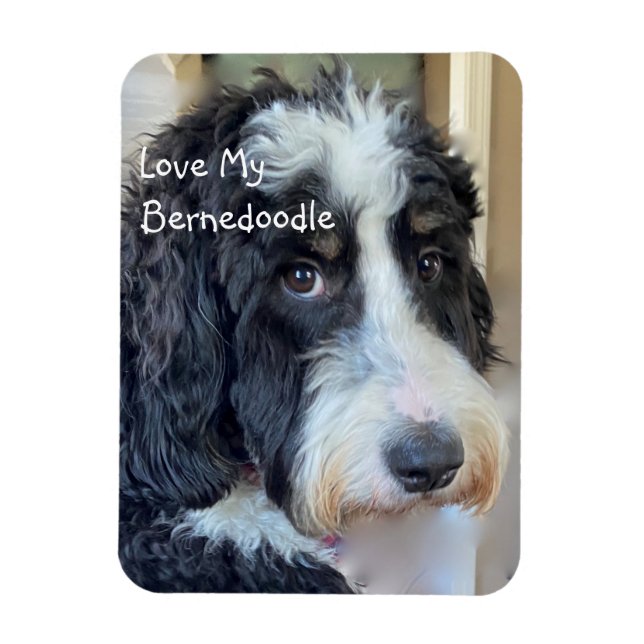 Love My Bernedoodle Magnet (Vertical)