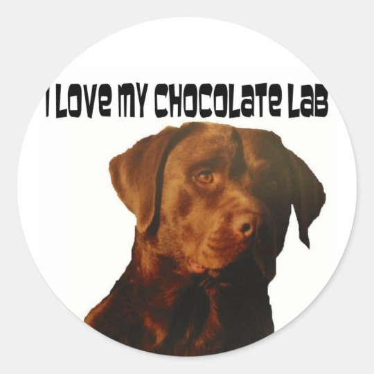 love my chocolate lab stickers