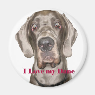 Love My Dane Magnet