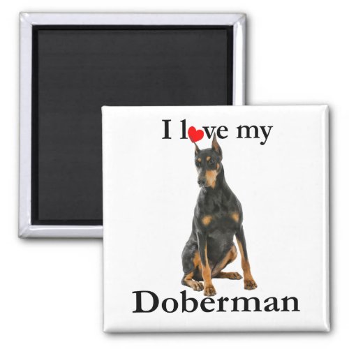 Love My Doberman Magnet