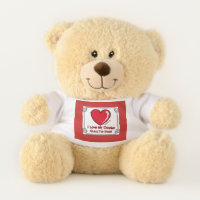 Love My Doctor-She's the Best Teddy Bear