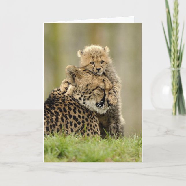 Love My Mommy Holiday Card (Front)