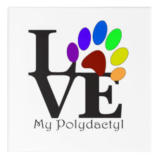 LOVE My Polydactyl Cat Art