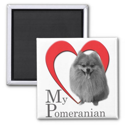 Love My Pomeranian Magnet