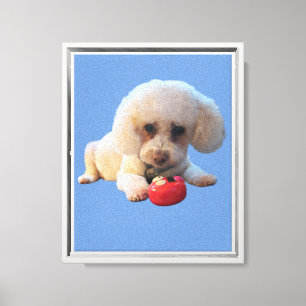 Love My Poodle Stretched Canvas Print