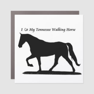 Love My Tennessee Walking horse car magnet