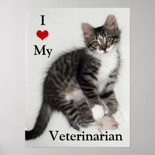 Love My Veterinarian Zorro Kitty Poster